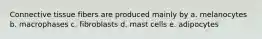 Connective tissue fibers are produced mainly by a. melanocytes b. macrophases c. fibroblasts d. mast cells e. adipocytes