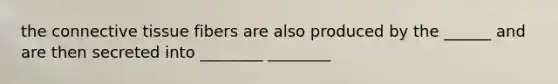the connective tissue fibers are also produced by the ______ and are then secreted into ________ ________