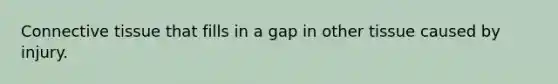 Connective tissue that fills in a gap in other tissue caused by injury.