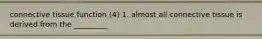 connective tissue function (4) 1. almost all connective tissue is derived from the _________