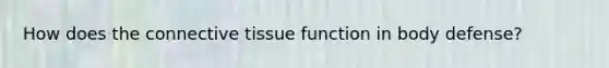 How does the connective tissue function in body defense?