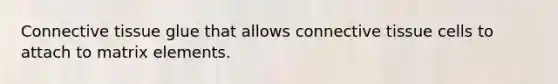 Connective tissue glue that allows connective tissue cells to attach to matrix elements.