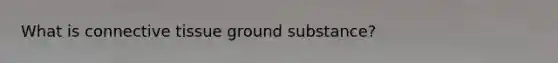 What is connective tissue ground substance?