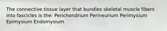 The connective tissue layer that bundles skeletal muscle fibers into fascicles is the: Perichondrium Perineurium Perimysium Epimysium Endomysium