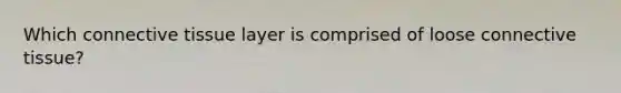 Which connective tissue layer is comprised of loose connective tissue?