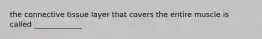 the connective tissue layer that covers the entire muscle is called _____________