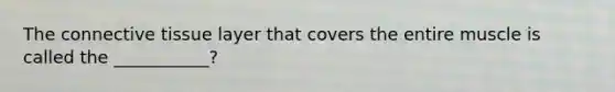 The connective tissue layer that covers the entire muscle is called the ___________?