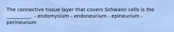 The connective tissue layer that covers Schwann cells is the __________. - endomysium - endoneurium - epineurium - perineurium