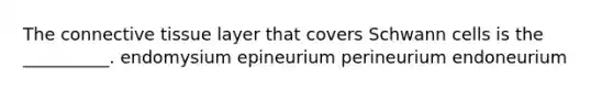 The <a href='https://www.questionai.com/knowledge/kYDr0DHyc8-connective-tissue' class='anchor-knowledge'>connective tissue</a> layer that covers Schwann cells is the __________. endomysium epineurium perineurium endoneurium