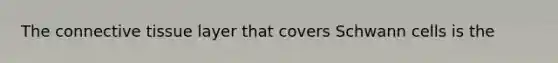 The connective tissue layer that covers Schwann cells is the