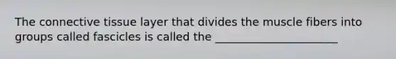 The connective tissue layer that divides the muscle fibers into groups called fascicles is called the ______________________