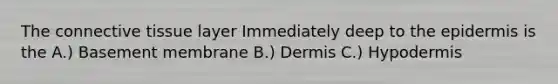 The connective tissue layer Immediately deep to the epidermis is the A.) Basement membrane B.) Dermis C.) Hypodermis