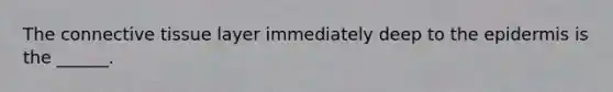 The connective tissue layer immediately deep to the epidermis is the ______.