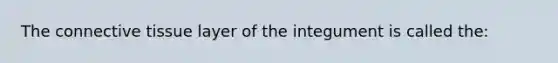 The connective tissue layer of the integument is called the: