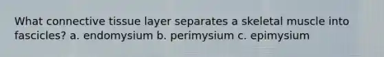 What connective tissue layer separates a skeletal muscle into fascicles? a. endomysium b. perimysium c. epimysium