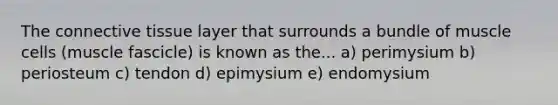 The connective tissue layer that surrounds a bundle of muscle cells (muscle fascicle) is known as the... a) perimysium b) periosteum c) tendon d) epimysium e) endomysium