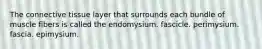 The connective tissue layer that surrounds each bundle of muscle fibers is called the endomysium. fascicle. perimysium. fascia. epimysium.