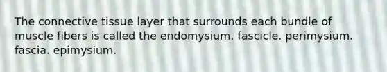 The connective tissue layer that surrounds each bundle of muscle fibers is called the endomysium. fascicle. perimysium. fascia. epimysium.