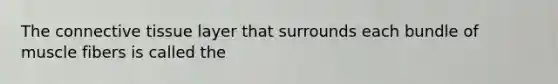 The connective tissue layer that surrounds each bundle of muscle fibers is called the