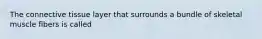 The connective tissue layer that surrounds a bundle of skeletal muscle fibers is called