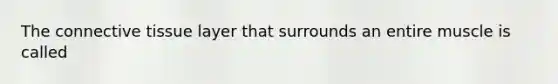 The connective tissue layer that surrounds an entire muscle is called