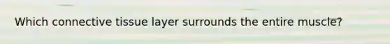 Which connective tissue layer surrounds the entire muscle?