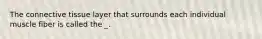 The connective tissue layer that surrounds each individual muscle fiber is called the _.