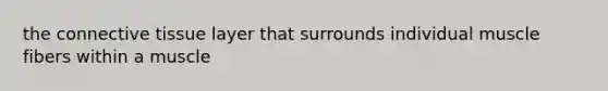 the connective tissue layer that surrounds individual muscle fibers within a muscle
