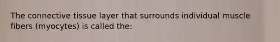 The connective tissue layer that surrounds individual muscle fibers (myocytes) is called the: