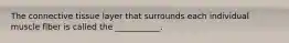The connective tissue layer that surrounds each individual muscle fiber is called the ___________.