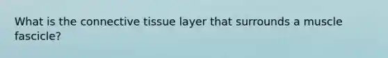 What is the <a href='https://www.questionai.com/knowledge/kYDr0DHyc8-connective-tissue' class='anchor-knowledge'>connective tissue</a> layer that surrounds a muscle fascicle?