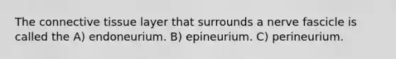 The connective tissue layer that surrounds a nerve fascicle is called the A) endoneurium. B) epineurium. C) perineurium.