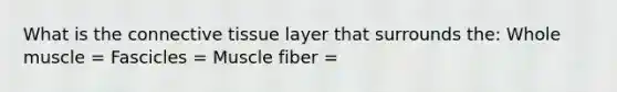 What is the connective tissue layer that surrounds the: Whole muscle = Fascicles = Muscle fiber =