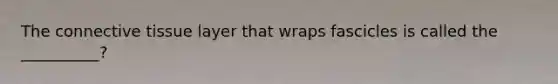 The connective tissue layer that wraps fascicles is called the __________?