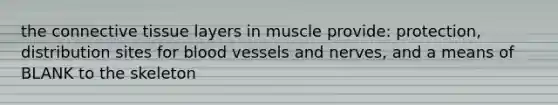 the connective tissue layers in muscle provide: protection, distribution sites for blood vessels and nerves, and a means of BLANK to the skeleton