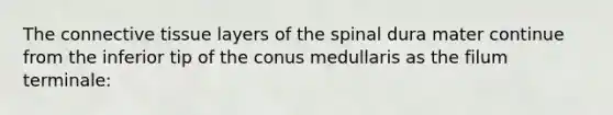 The connective tissue layers of the spinal dura mater continue from the inferior tip of the conus medullaris as the filum terminale: