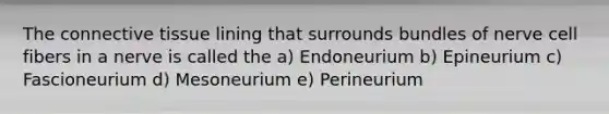 The <a href='https://www.questionai.com/knowledge/kYDr0DHyc8-connective-tissue' class='anchor-knowledge'>connective tissue</a> lining that surrounds bundles of nerve cell fibers in a nerve is called the a) Endoneurium b) Epineurium c) Fascioneurium d) Mesoneurium e) Perineurium