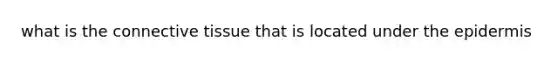 what is the <a href='https://www.questionai.com/knowledge/kYDr0DHyc8-connective-tissue' class='anchor-knowledge'>connective tissue</a> that is located under <a href='https://www.questionai.com/knowledge/kBFgQMpq6s-the-epidermis' class='anchor-knowledge'>the epidermis</a>