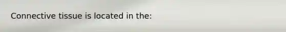 Connective tissue is located in the: