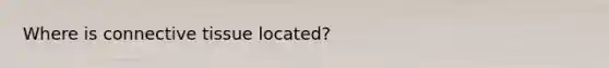 Where is connective tissue located?