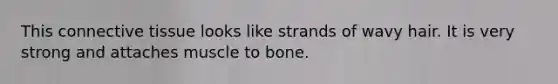 This <a href='https://www.questionai.com/knowledge/kYDr0DHyc8-connective-tissue' class='anchor-knowledge'>connective tissue</a> looks like strands of wavy hair. It is very strong and attaches muscle to bone.