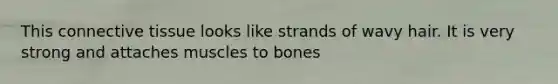 This <a href='https://www.questionai.com/knowledge/kYDr0DHyc8-connective-tissue' class='anchor-knowledge'>connective tissue</a> looks like strands of wavy hair. It is very strong and attaches muscles to bones