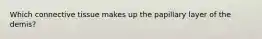 Which connective tissue makes up the papillary layer of the demis?