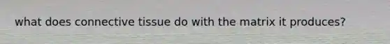 what does connective tissue do with the matrix it produces?