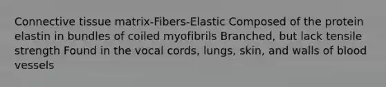 Connective tissue matrix-Fibers-Elastic Composed of the protein elastin in bundles of coiled myofibrils Branched, but lack tensile strength Found in the vocal cords, lungs, skin, and walls of blood vessels