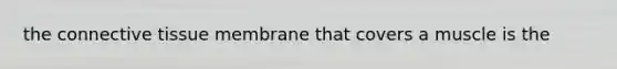 the connective tissue membrane that covers a muscle is the