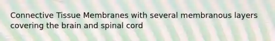 Connective Tissue Membranes with several membranous layers covering the brain and spinal cord