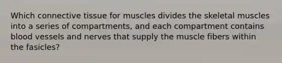 Which connective tissue for muscles divides the skeletal muscles into a series of compartments, and each compartment contains blood vessels and nerves that supply the muscle fibers within the fasicles?