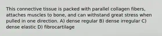 This connective tissue is packed with parallel collagen fibers, attaches muscles to bone, and can withstand great stress when pulled in one direction. A) dense regular B) dense irregular C) dense elastic D) fibrocartilage