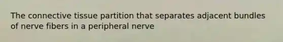 The connective tissue partition that separates adjacent bundles of nerve fibers in a peripheral nerve